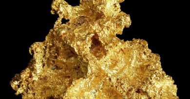 4 curiosidades de la historia de la humanidad