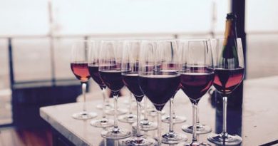 El vino y su historia