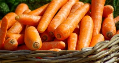 Razones que te harán incluir zanahoria en tu dieta