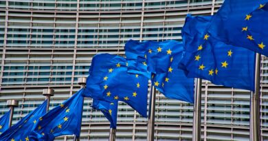 La Unión Europea: Una Historia Fácil de Entender Unión Europea. Imagen de NakNakNak. Pixabay.