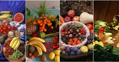 dieta. Imagen de S K en Pixabay